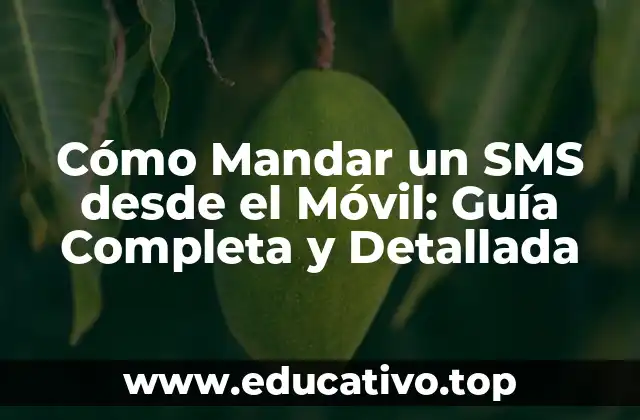 Cómo Mandar un SMS desde el Móvil: Guía Completa y Detallada