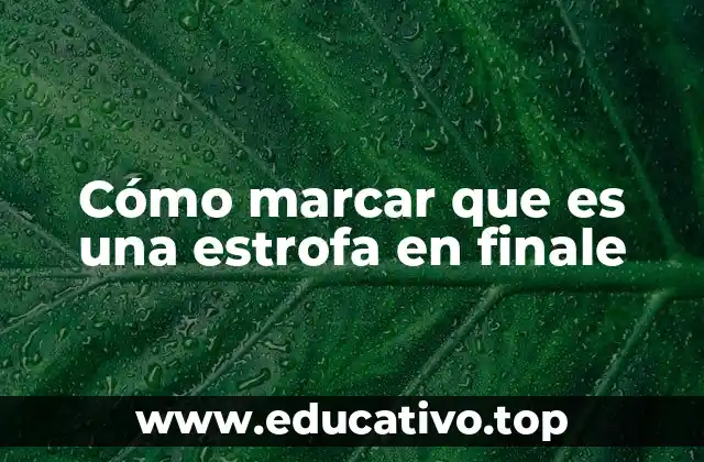 Cómo marcar que es una estrofa en finale