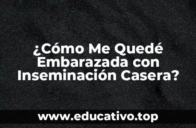 ¿Cómo Me Quedé Embarazada con Inseminación Casera?