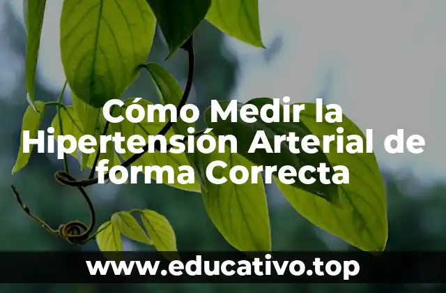 Cómo Medir la Hipertensión Arterial de forma Correcta
