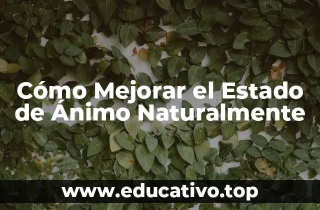 Cómo Mejorar el Estado de Ánimo Naturalmente