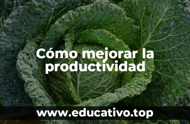 Cómo mejorar la productividad