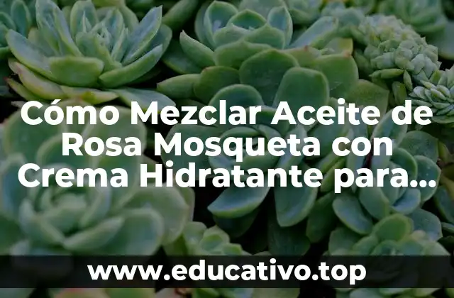 Cómo Mezclar Aceite de Rosa Mosqueta con Crema Hidratante para Obtener una Piel Radiante