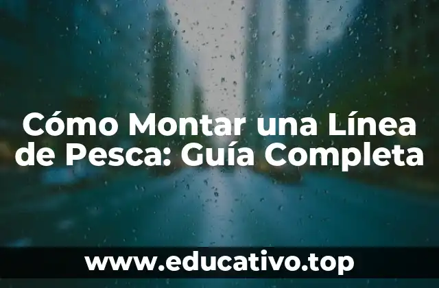 Cómo Montar una Línea de Pesca: Guía Completa