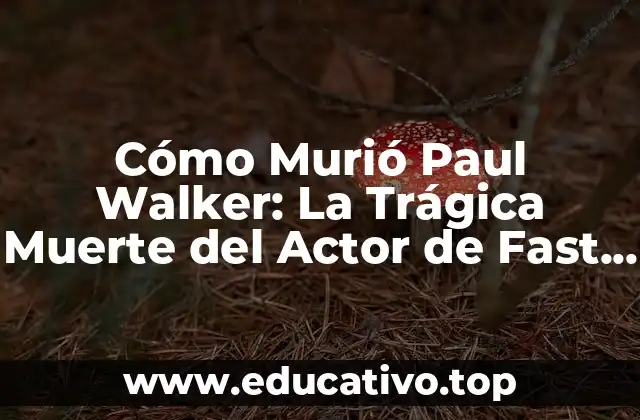 Cómo Murió Paul Walker: La Trágica Muerte del Actor de Fast & Furious