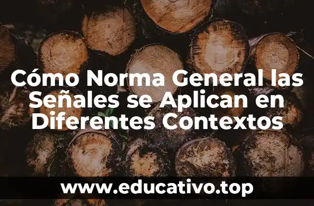Cómo Norma General las Señales se Aplican en Diferentes Contextos