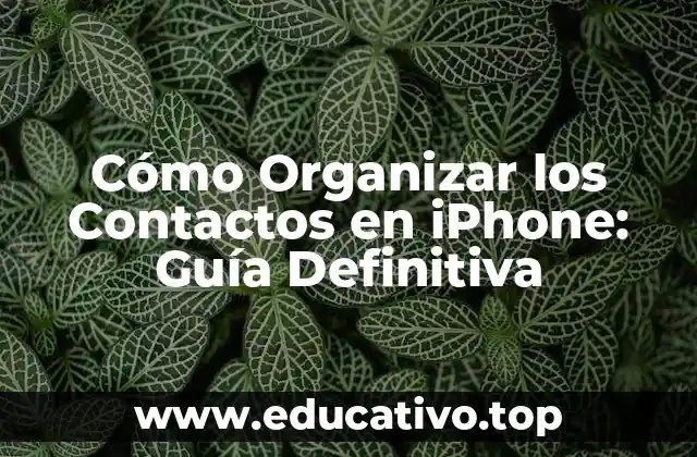 Cómo Organizar los Contactos en iPhone: Guía Definitiva