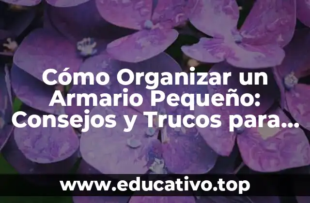 Cómo Organizar un Armario Pequeño: Consejos y Trucos para Maximizar el Espacio