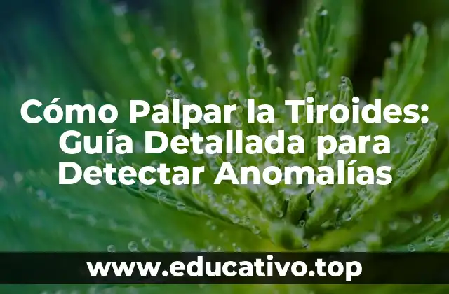 Cómo Palpar la Tiroides: Guía Detallada para Detectar Anomalías