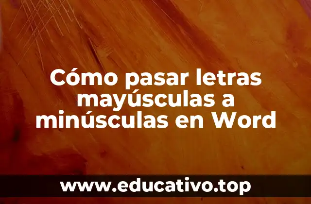 Cómo pasar letras mayúsculas a minúsculas en Word