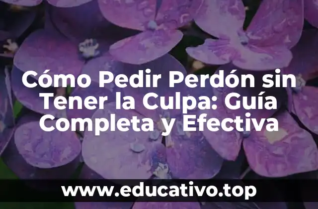 Cómo Pedir Perdón sin Tener la Culpa: Guía Completa y Efectiva