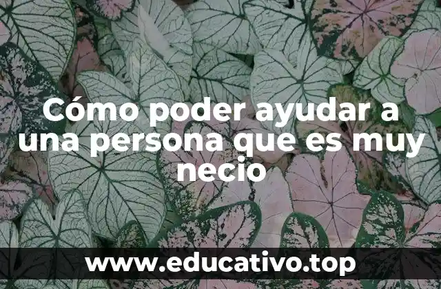 Cómo poder ayudar a una persona que es muy necio