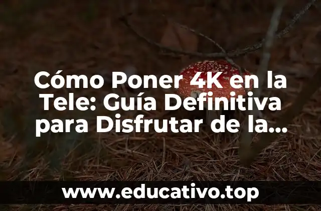 Cómo Poner 4K en la Tele: Guía Definitiva para Disfrutar de la Mejora Calidad de Imagen