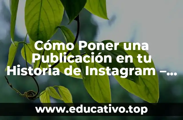 Cómo Poner una Publicación en tu Historia de Instagram – Guía Completa