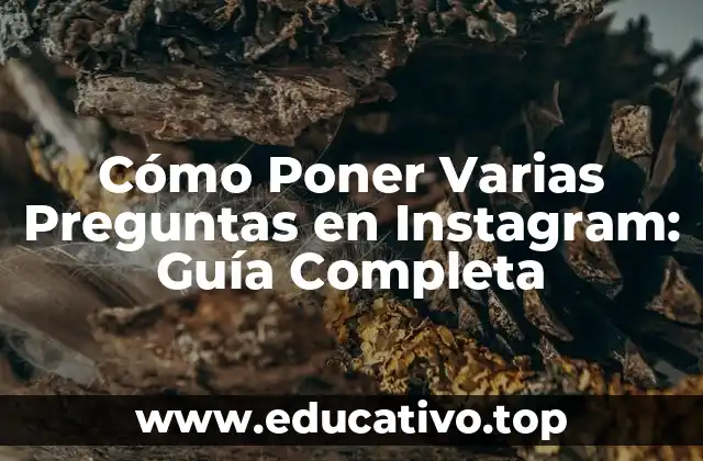 Cómo Poner Varias Preguntas en Instagram: Guía Completa