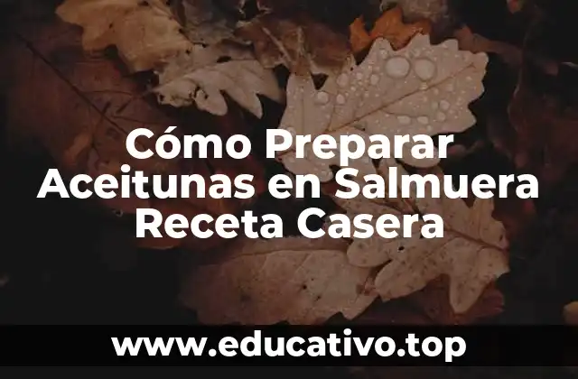 Cómo Preparar Aceitunas en Salmuera Receta Casera