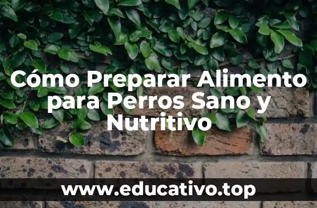 Cómo Preparar Alimento para Perros Sano y Nutritivo