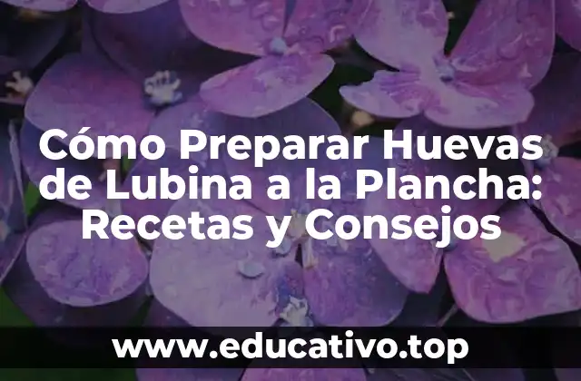 Cómo Preparar Huevas de Lubina a la Plancha: Recetas y Consejos