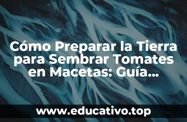 Cómo Preparar la Tierra para Sembrar Tomates en Macetas: Guía Completa