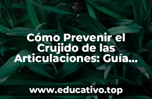 Cómo Prevenir el Crujido de las Articulaciones: Guía Completa