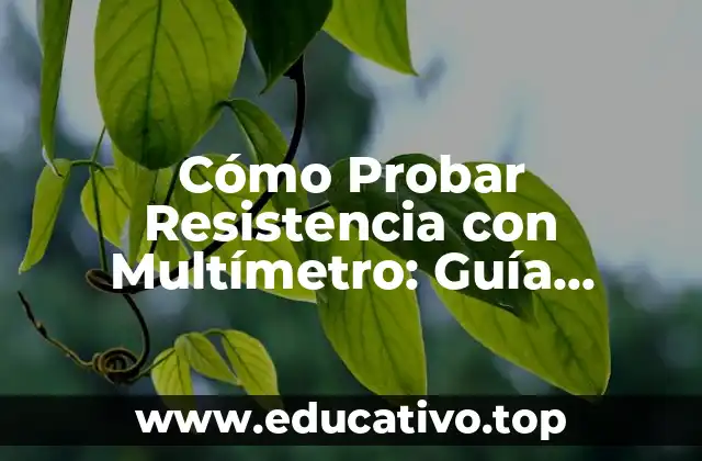 Cómo Probar Resistencia con Multímetro: Guía Detallada y Práctica