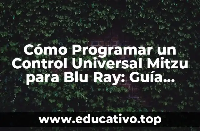 Cómo Programar un Control Universal Mitzu para Blu Ray: Guía Detallada