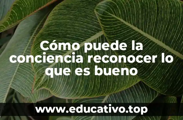 Cómo puede la conciencia reconocer lo que es bueno