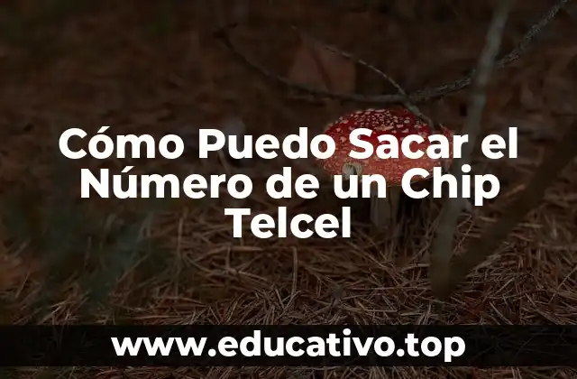 Cómo Puedo Sacar el Número de un Chip Telcel