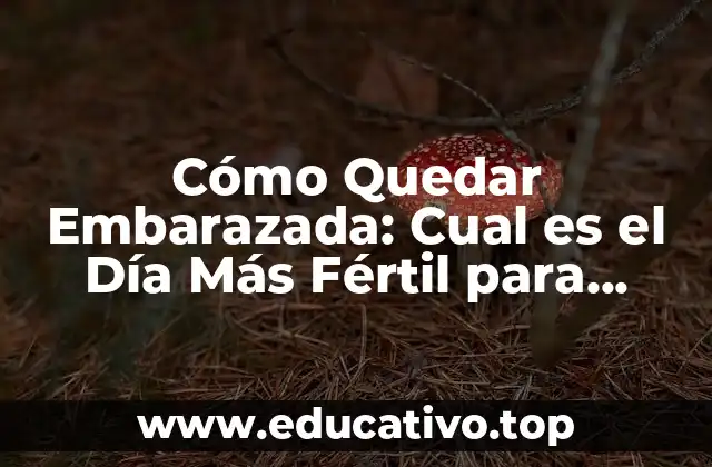 Cómo Quedar Embarazada: Cual es el Día Más Fértil para Concebir