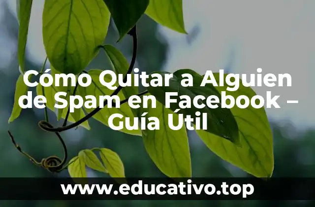 Cómo Quitar a Alguien de Spam en Facebook – Guía Útil