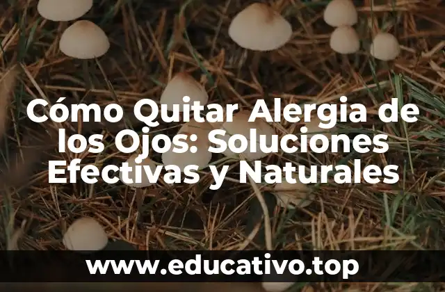 Cómo Quitar Alergia de los Ojos: Soluciones Efectivas y Naturales