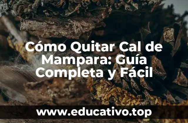 Cómo Quitar Cal de Mampara: Guía Completa y Fácil