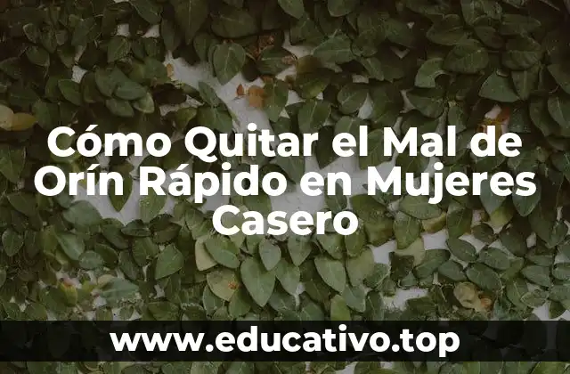 Cómo Quitar el Mal de Orín Rápido en Mujeres Casero