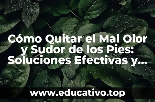 Cómo Quitar el Mal Olor y Sudor de los Pies: Soluciones Efectivas y Naturales
