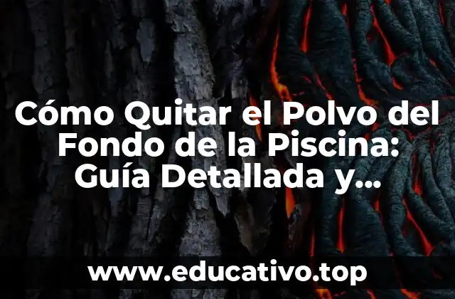 Cómo Quitar el Polvo del Fondo de la Piscina: Guía Detallada y Completa