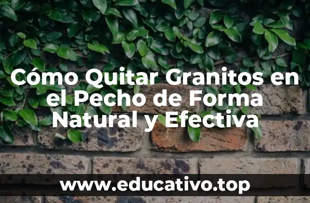 Cómo Quitar Granitos en el Pecho de Forma Natural y Efectiva