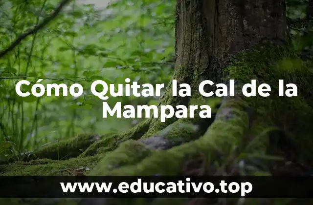 Cómo Quitar la Cal de la Mampara