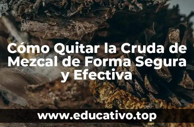 Cómo Quitar la Cruda de Mezcal de Forma Segura y Efectiva