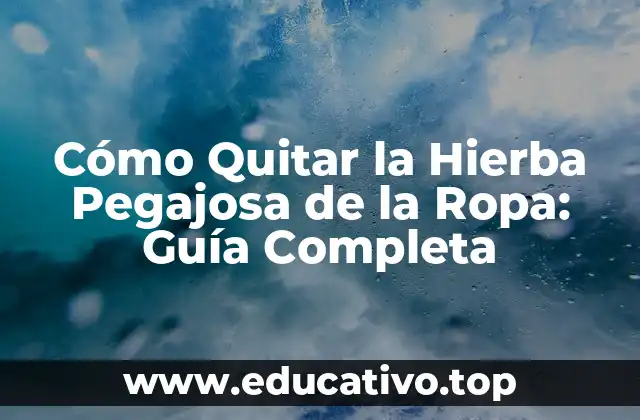 Cómo Quitar la Hierba Pegajosa de la Ropa: Guía Completa