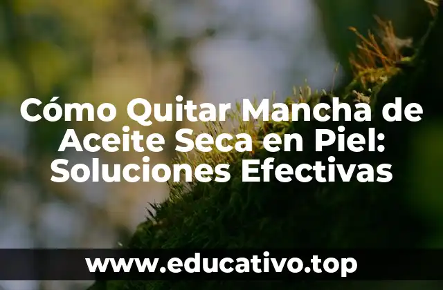 Cómo Quitar Mancha de Aceite Seca en Piel: Soluciones Efectivas