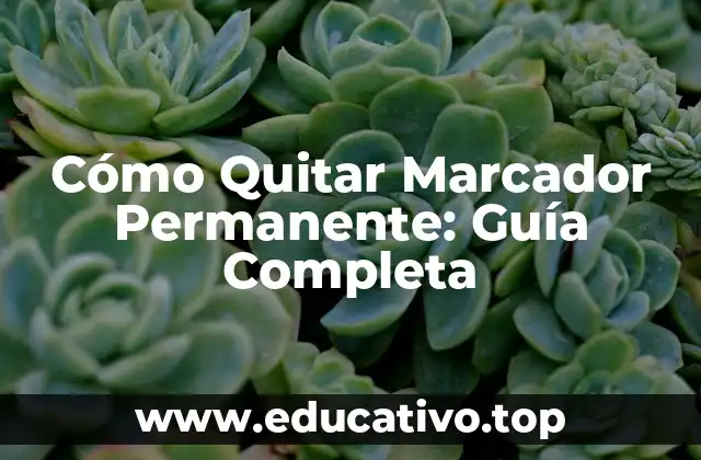 Cómo Quitar Marcador Permanente: Guía Completa