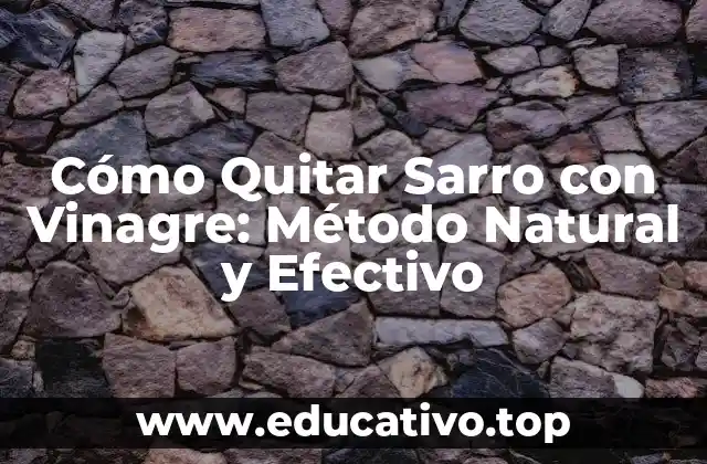 Cómo Quitar Sarro con Vinagre: Método Natural y Efectivo