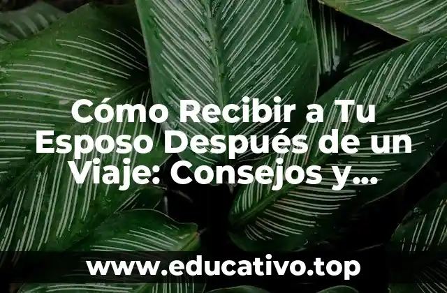 Cómo Recibir a Tu Esposo Después de un Viaje: Consejos y Técnicas