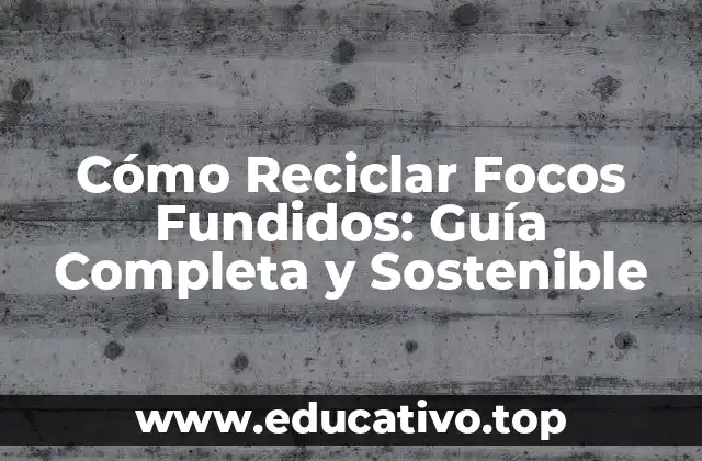 Cómo Reciclar Focos Fundidos: Guía Completa y Sostenible