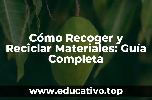 Cómo Recoger y Reciclar Materiales: Guía Completa