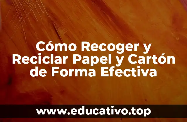 Cómo Recoger y Reciclar Papel y Cartón de Forma Efectiva