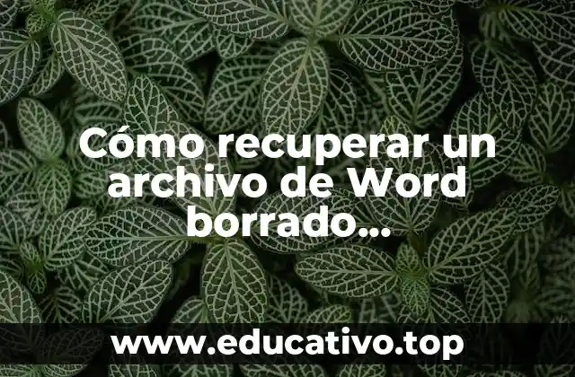 Cómo recuperar un archivo de Word borrado permanentemente: Guía detallada y completa