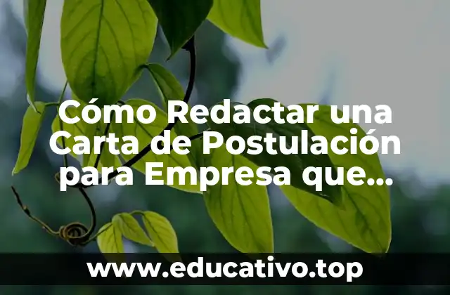 Cómo Redactar una Carta de Postulación para Empresa que Impresione
