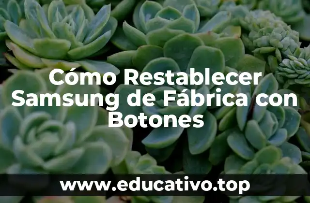 Cómo Restablecer Samsung de Fábrica con Botones