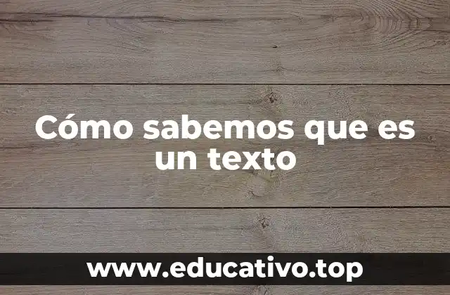 Cómo sabemos que es un texto